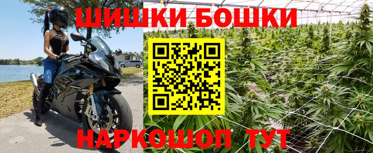 Каннабис OG Kush Каспийск
